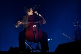 tamino vorst nationaal marvin anthony studio tijdloos 31102025 104 scaled uai